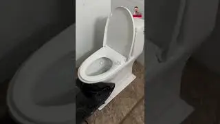 funny clips #funnyvideos #ask2abi #lol #trendingshorts #shortsfeed #comedyvideo #weekend