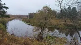 Река Уводь. ч.4. Октябрь 2024