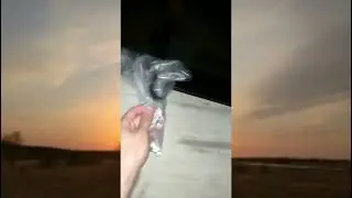 Сабвуфер урал тт15 в седане . Валево и лёгкое дуновение ветра от дешманской пятнахи. 31hz.