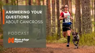 Answering YOUR QUESTIONS about CANICROSS with a World Champion