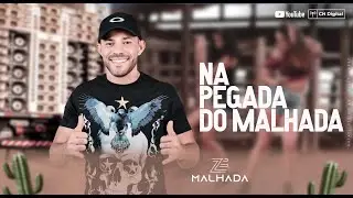 NA PEGADA DO MALHADA (Pra Que Fingir) Zé Malhada Forrozão Atualizado 2024