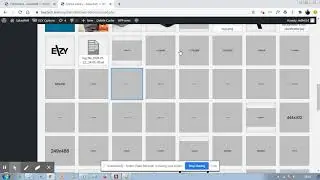 How to delete images from wordpress media gallery?