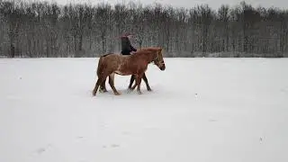Рута и Барс2