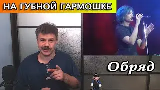 Обряд на губной гармошке (песня группы 