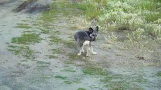 Просто видео