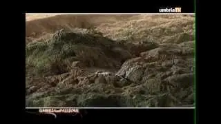 Massa Martana - I borghi più belli d'Italia