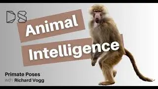 Primate Poses