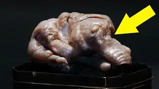 Её цена 100 000$! А  она просто валялась под кроватью 10 лет!