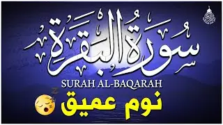سورة البقرة طاردة الشياطين💚 بصوت هادئ ومريح جدا جدا 💚💤تلاوة هادئة للنوم والراحة النفسية 😴