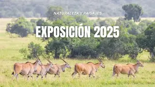 Colección Fotográfica 2025 - Naturaleza y Paisajes