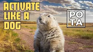 Activating a Prarie Dog Town with the Poseidon Antenna