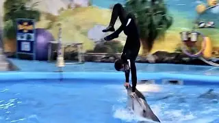 MAN AND BEAST - Part 30 - Great Animal Compilations