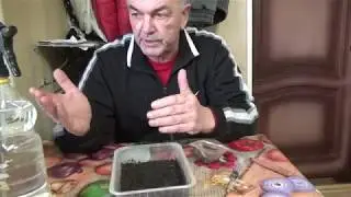 Семена табака посев, обрабатываем фунгицидом (ТОПАЗ)