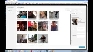 Editar la Galeria de fotos de Wordpress