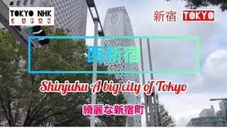 西新宿東京　Tokyo Nishi Shinjuku a beautiful place in Japan