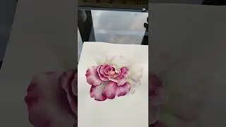 Роза акварелью #арт #art #watercolorart #watercolorrose