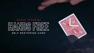 Hands Free by Mario Tarashi