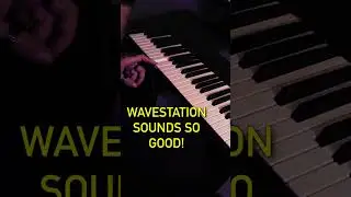 The Wavestation Still Fills Me With Wonder 🐙 