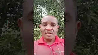Délinquance juvénile,  les conséquences sont très palpables en  Haïti.