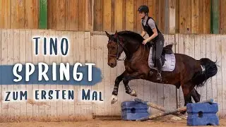 DER ERSTE SPRUNG 🤩