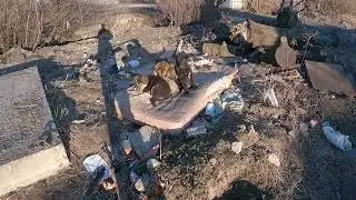 ФОРТ 4, Апокалипсис Встречаю На Руинах