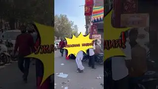 Шок от Индии. «Туда лучше не летать!». Зачем я полетел в страну жестких контрастов?