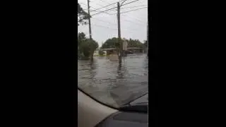 TS Colin flooding in St Petersburg #2