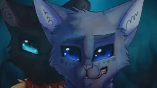 Warrior cats - Scourge  YAOI.
