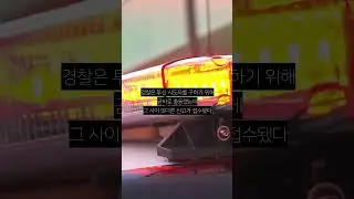 마포대교서 투신하자…그 사람 가방 갖고 튄 男