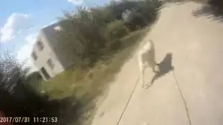 упряжка