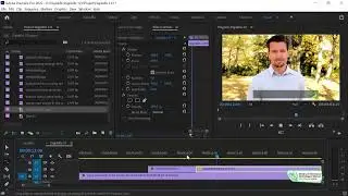 How to Import and Work on Image Sequence in Premiere Pro