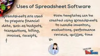 Meaning of a Spreadsheet Software