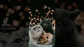 музика сумна