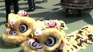 『最唔講得笑』宗教頻道-----【白眉陳棠醒獅團~戊子年新春同樂日---上水石湖墟】