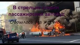 В Стрельне сгорел пассажирский автобус