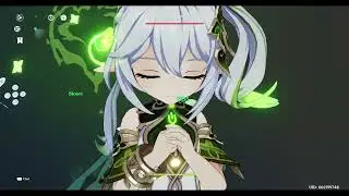 Nahida/Nilou 100k Bountiful Bloom Crit