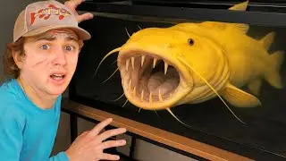 I Bought The World's Rarest Man Eating Fish!
