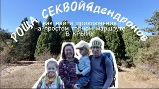 роща СЕКВОЙЯдендронов в КРЫМУ. Неожиданный финал простого маршрута