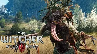 The Witcher 3 Next Gen - White Lady Boss Fight (4K)