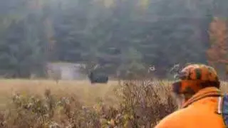 Moose hunting in Sudbury, Ontario