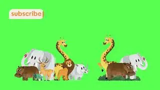 Green screen background|| zoo animals||  copyright free