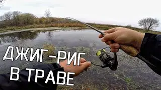 ЛОВЛЯ ЩУКИ НА ДЖИГ-РИГ В ТРАВЕ! ОН РЕАЛЬНО ВЫРУЧАЕТ! Щука на спиннинг 2019