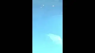 Эвакуация пассажиров самолета Москва - Новосибирск