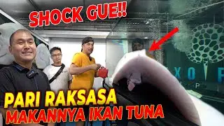 AWAS JANTUNG4N!! KOLEKSI HEWAN SULTAN MANADO BIKIN KEPALA PUSINK!!!