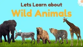 Wild Animals Names for Kids| Educational video for kids