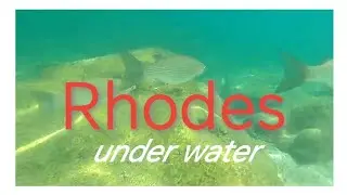 Rhodes under water (Greece)