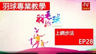 羽毛球 羽球教學 上網步法 上網步法EP28