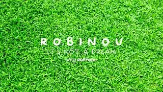 Robinou - It's Not a Dream (Official Audio) ft. Robynou