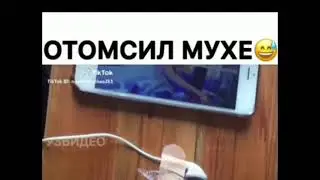 приколы/ мемы