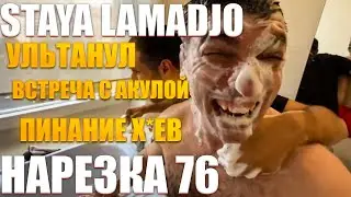 STAYA LAMADJO НАРЕЗКА 76 | КАКОЙ ТИГР | LG | УЛЬТАНУЛ